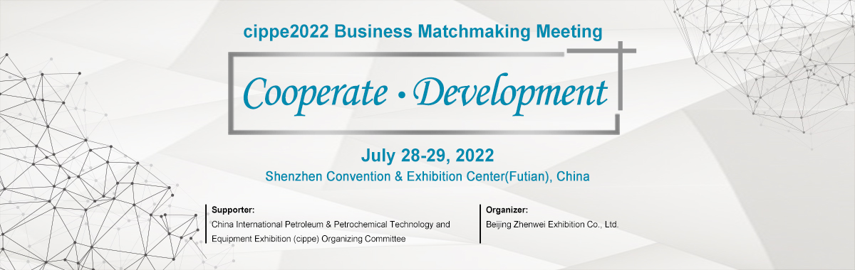 business matchmaking